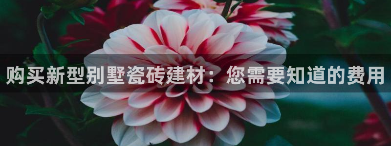 杏鑫官网注册账号是什么意思