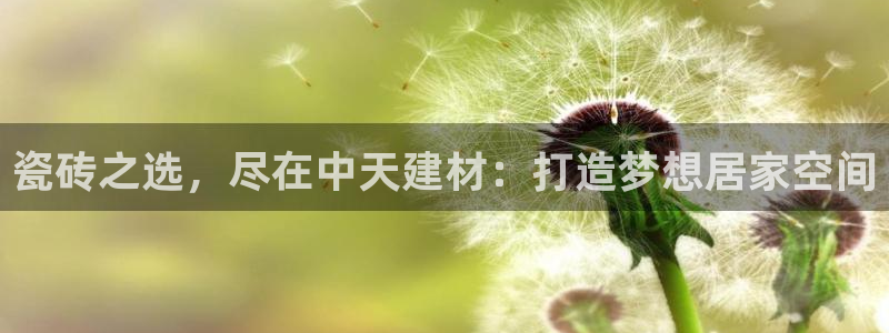 杏鑫平台念7O777