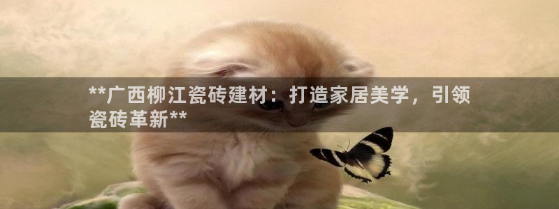 杏鑫官网注册账号是什么意思