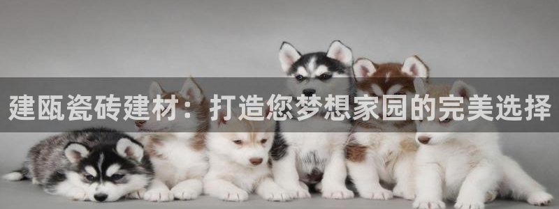 杏鑫平台招商怎么样啊