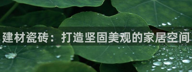 杏鑫平台是黑平台吗是真的吗