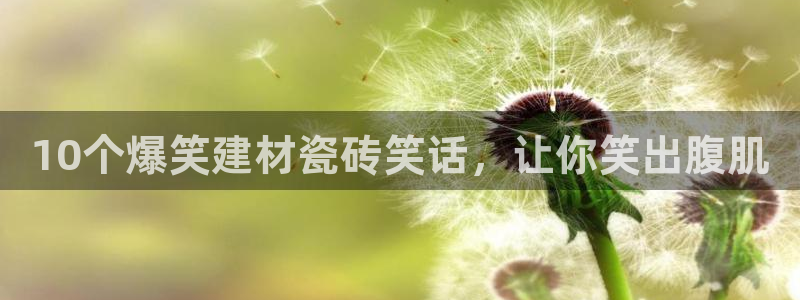 杏鑫平台登录地址查询