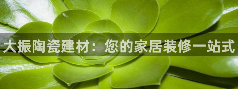 杏鑫平台直属哪个公司