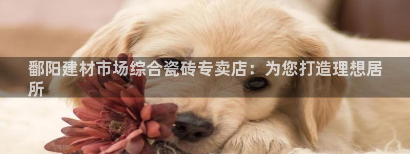 杏鑫平台代理注册要钱吗