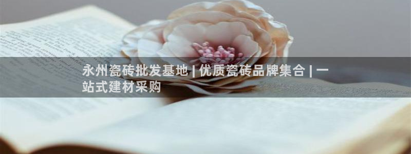 杏鑫代理注册资金多少