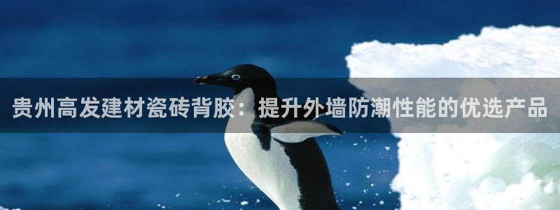 杏鑫官方平台怎么样啊可靠吗