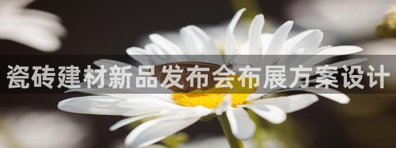 杏鑫平台正规吗是真的吗