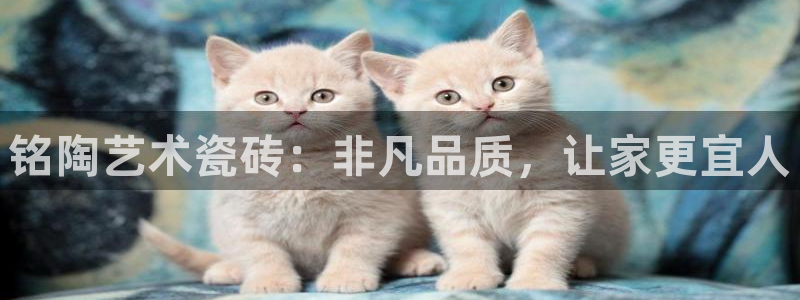 杏鑫平台登录地址查询