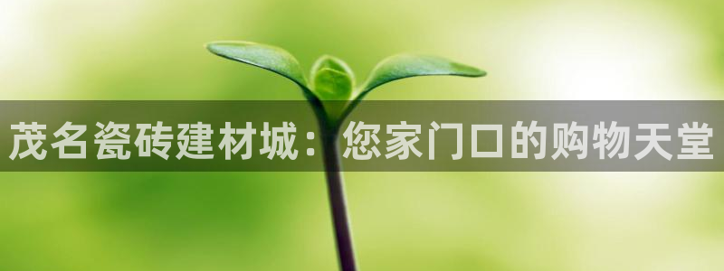 杏鑫平台代理注册