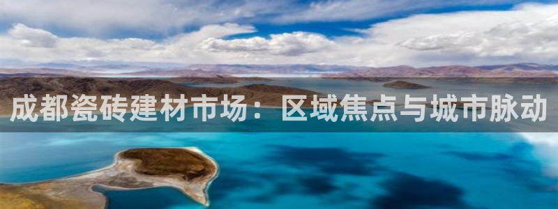 杏鑫招商总代