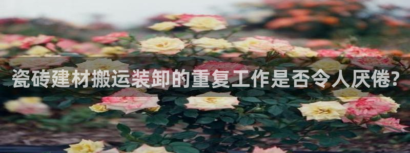 杏鑫平台注册地址是哪里