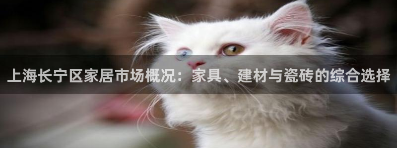 杏鑫平台代理注册流程图