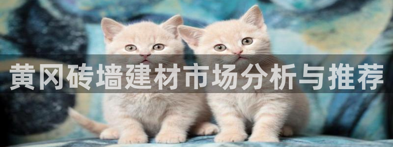 杏鑫官方平台怎么样啊知乎