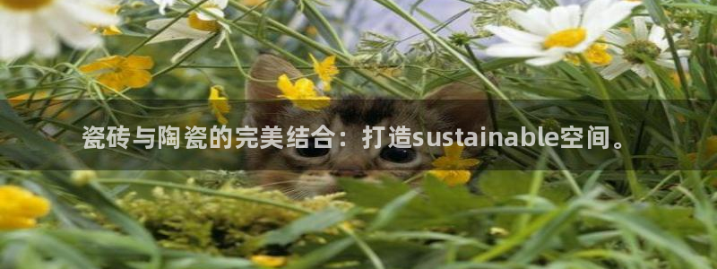 杏鑫注册登录平台