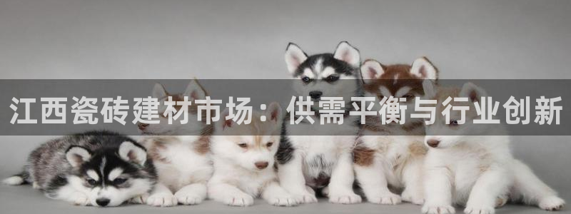 杏鑫平台登录地址是什么