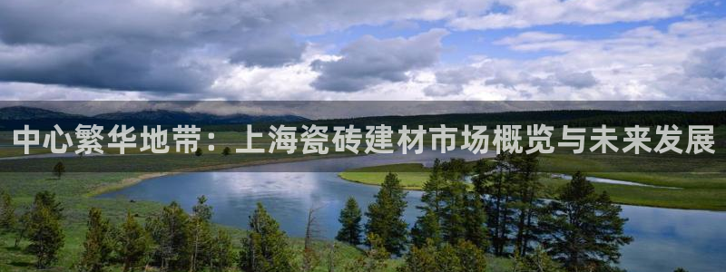 杏鑫平台注册入口