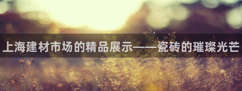 杏鑫登录注册测速