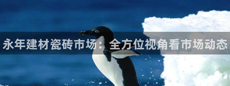 杏鑫平台线路测速