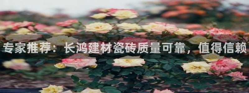 杏鑫手机客户端怎么下载