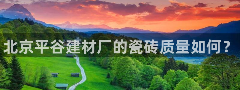 杏鑫平台招商电话