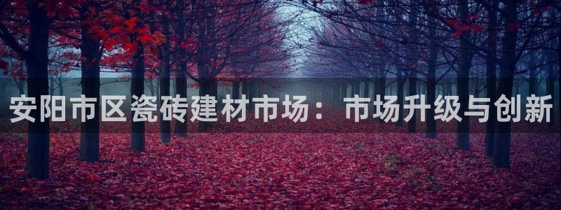 杏鑫代理注册资金多少