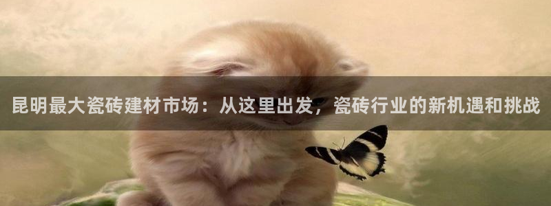 杏鑫平台代理怎么样赚钱