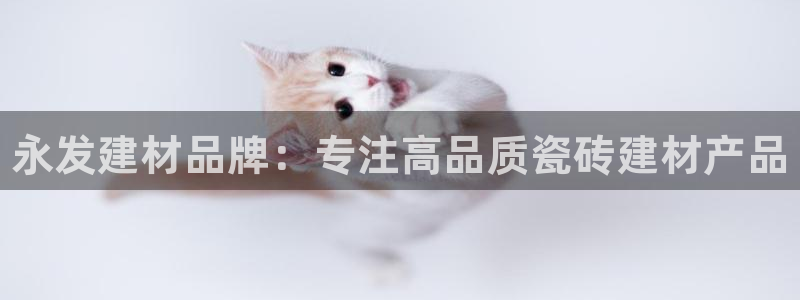 杏鑫娱乐负责人