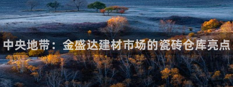 杏鑫平台代理怎么样啊