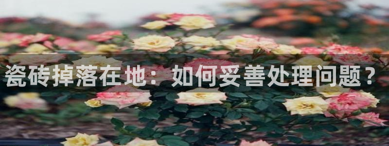 杏鑫娱乐官方网站客户端下载