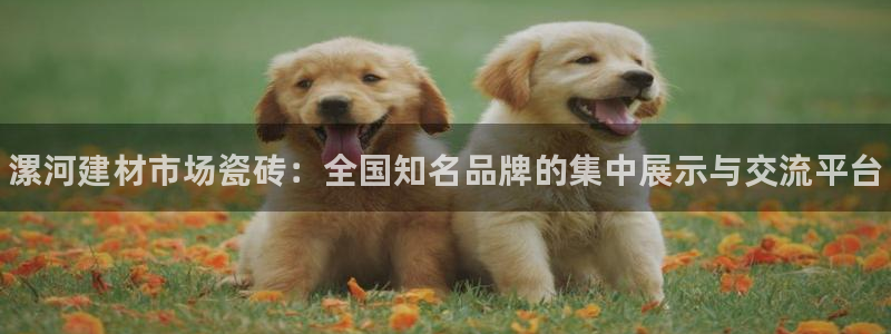 杏鑫官方平台怎么样可靠吗