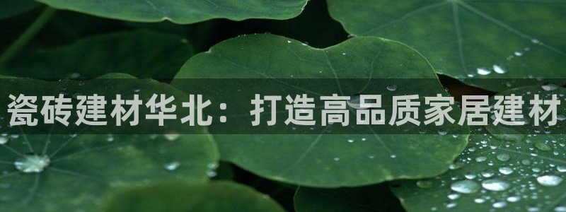 杏鑫娱乐是合法的吗?