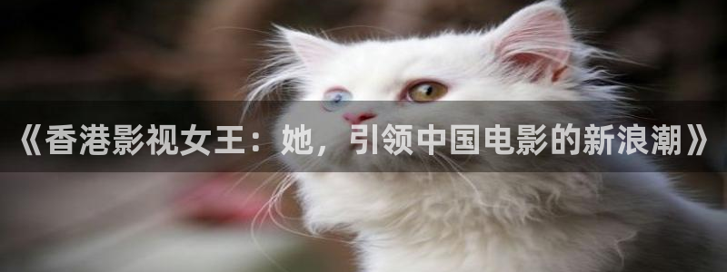 小小影视免费下载最新安装：《香港影视女王：她，引领中国电影的新浪潮》