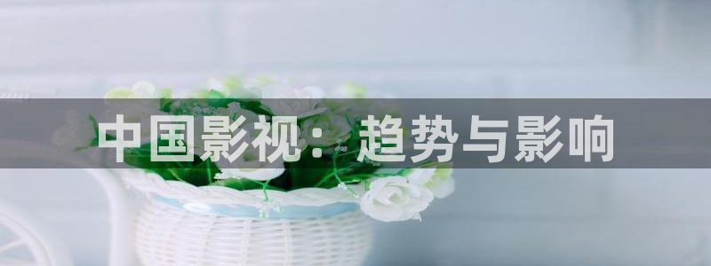 小小影视最新版本下载：中国影视：趋势与影响