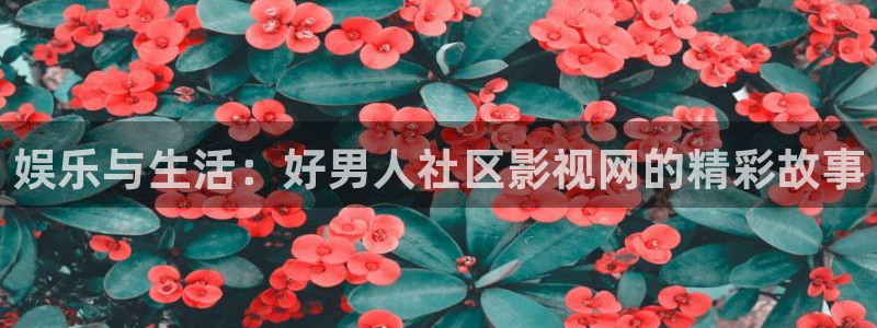 小小影视安全吗：娱乐与生活：好男人社区影视网的精彩故事