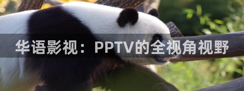 小小影视在线播放观看免费：华语影视：PPTV的全视角视野