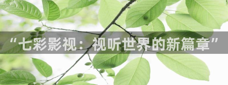 小小影视在线观看免费观看：“七彩影视：视听世界的新篇章”