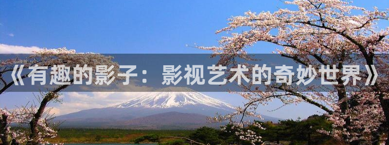 小小影视大全在线