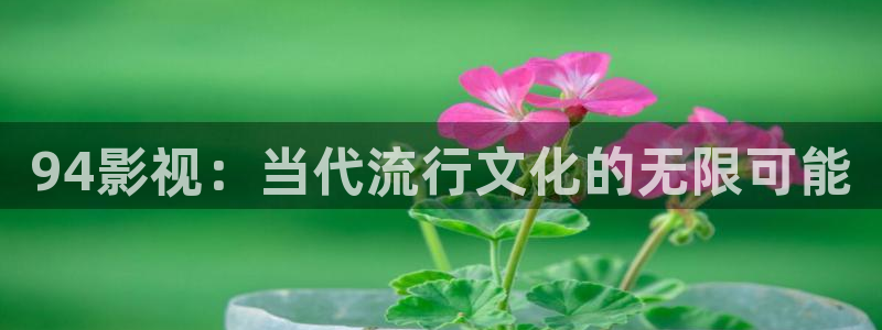 小小影视播：94影视：当代流行文化的无限可能